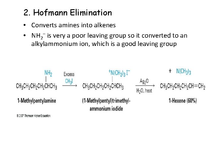 2. Hofmann Elimination • Converts amines into alkenes • NH 2 is very a