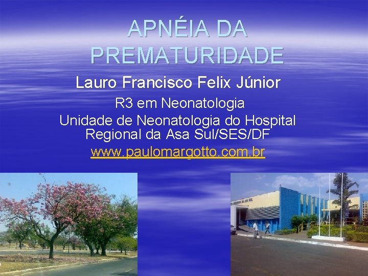 APNÉIA DA PREMATURIDADE Lauro Francisco Felix Júnior R 3 em Neonatologia Unidade de Neonatologia