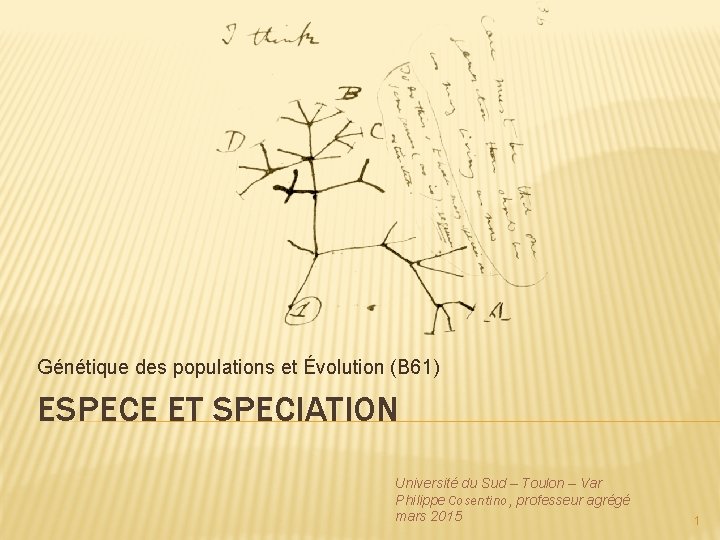 Génétique des populations et Évolution (B 61) ESPECE ET SPECIATION Université du Sud –