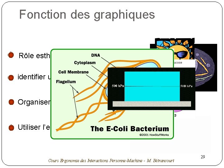 Fonction des graphiques Rôle esthétique, attractif et motivant identifier un objet, un scène Organiser