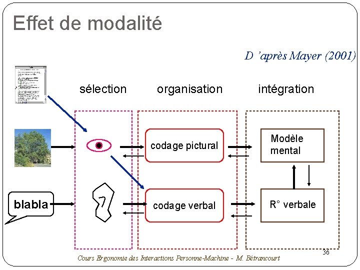 Effet de modalité D ’après Mayer (2001) sélection blabla organisation intégration codage pictural Modèle