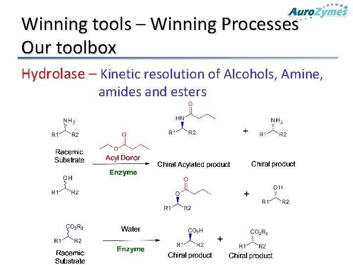 Winning tools – Winning Processes Our toolbox Hydrolase – Kinetic resolution of Alcohols, Amine,