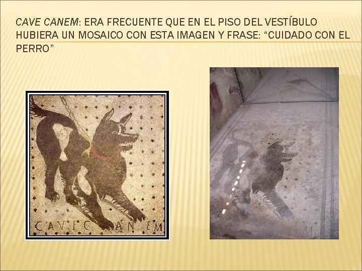  CAVE CANEM: ERA FRECUENTE QUE EN EL PISO DEL VESTÍBULO HUBIERA UN MOSAICO