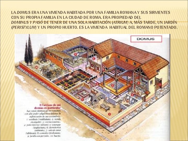 LA DOMUS ERA UNA VIVIENDA HABITADA POR UNA FAMILIA ROMANA Y SUS SIRVIENTES CON
