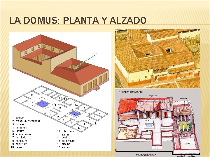 LA DOMUS: PLANTA Y ALZADO 