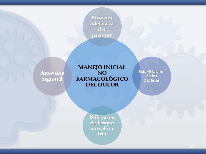 Posición adecuada del paciente Anestesia regional MANEJO INICIAL NO FARMACOLÓGICO DEL DOLOR Estabilización de