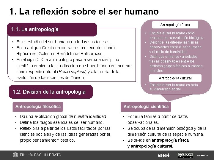 1. La reflexión sobre el ser humano Antropología física 1. 1. La antropología • 1. La reflexión sobre el ser humano Antropología física 1. 1. La antropología •
