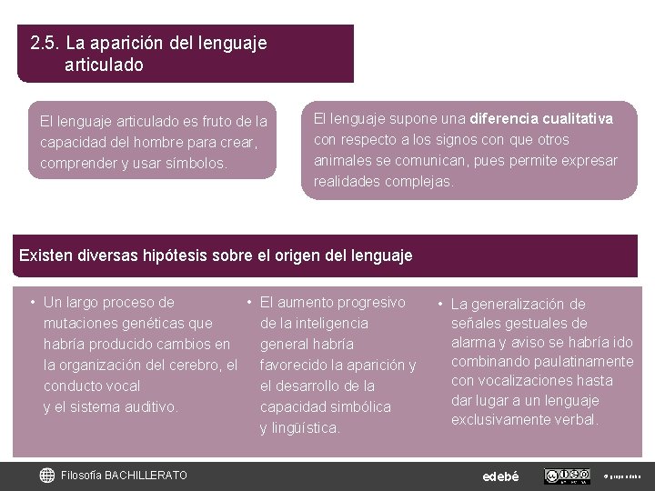 2. 5. La aparición del lenguaje articulado El lenguaje articulado es fruto de la 2. 5. La aparición del lenguaje articulado El lenguaje articulado es fruto de la