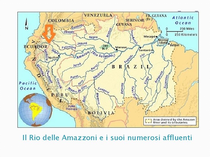 Il Rio delle Amazzoni e i suoi numerosi affluenti 