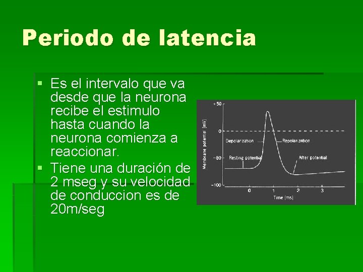 Fisiologa del tejido Nervioso Objetivo reconocer y comprender