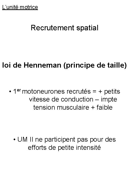 L’unité motrice Recrutement spatial loi de Henneman (principe de taille) • 1 er motoneurones