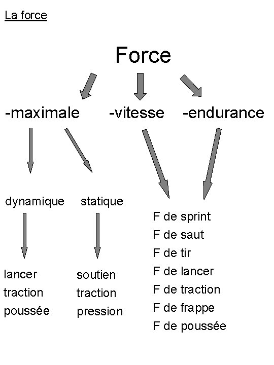 La force Force -maximale dynamique -vitesse -endurance statique F de sprint F de saut