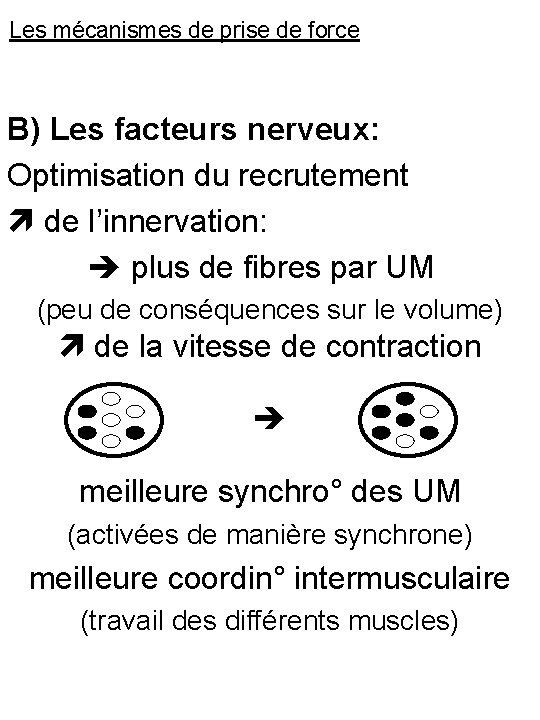 Les mécanismes de prise de force B) Les facteurs nerveux: Optimisation du recrutement de