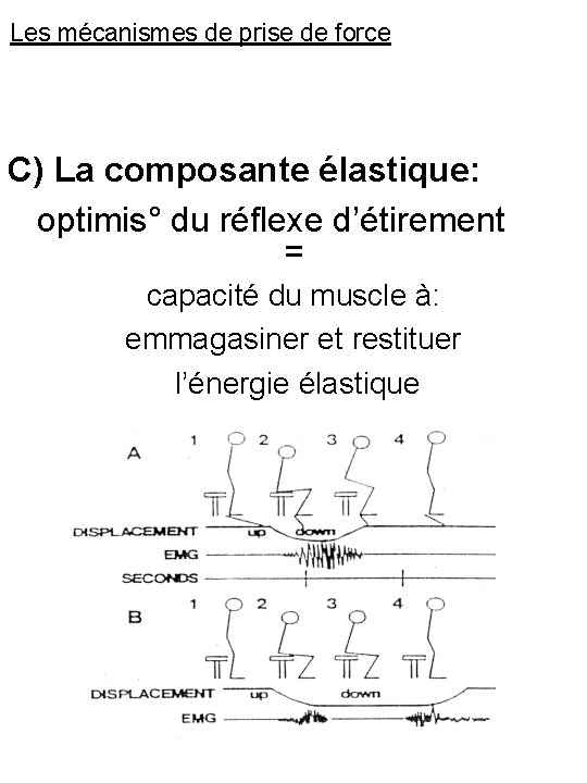 Les mécanismes de prise de force C) La composante élastique: optimis° du réflexe d’étirement