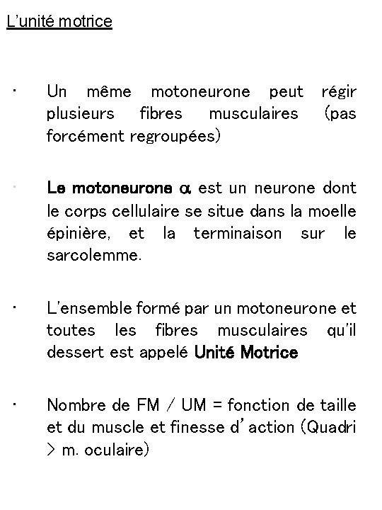 L’unité motrice • Un même motoneurone peut plusieurs fibres musculaires forcément regroupées) • Le