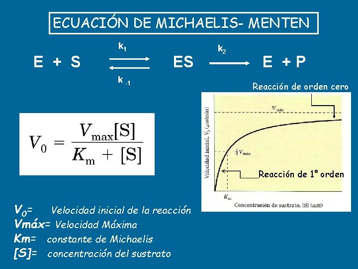 ECUACIÓN DE MICHAELIS- MENTEN k 1 E + S ES k -1 k 2