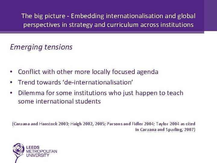 The big picture - Embedding internationalisation and global perspectives in strategy and curriculum across