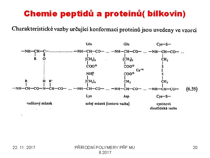 Chemie peptidů a proteinů( bílkovin) 22. 11. 2017 PŘÍRODNÍ POLYMERY PŘF MU 8 2017