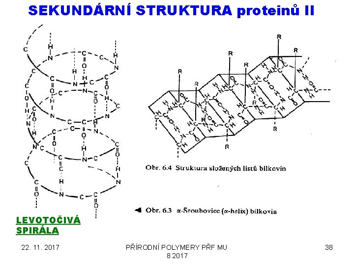 SEKUNDÁRNÍ STRUKTURA proteinů II LEVOTOČIVÁ SPIRÁLA 22. 11. 2017 PŘÍRODNÍ POLYMERY PŘF MU 8