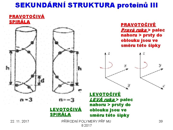 SEKUNDÁRNÍ STRUKTURA proteinů III PRAVOTOČIVÁ SPIRÁLA PRAVOTOČIVÉ Pravá ruka > palec nahoru > prsty