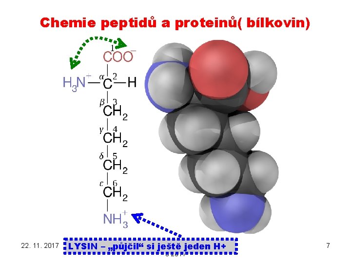 Chemie peptidů a proteinů( bílkovin) 22. 11. 2017 PŘÍRODNÍ POLYMERY PŘF MU LYSIN –