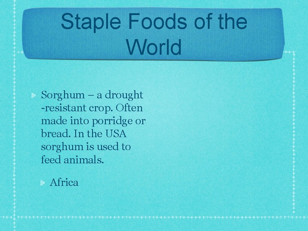 Staple Foods of the World Sorghum – a drought -resistant crop. Often made into