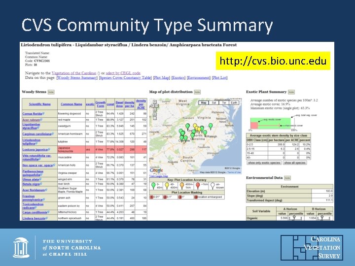 CVS Community Type Summary http: //cvs. bio. unc. edu CAROLINA VEGETATION SURVEY 