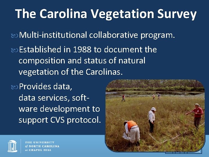 The Carolina Vegetation Survey Multi-institutional collaborative program. Established in 1988 to document the composition