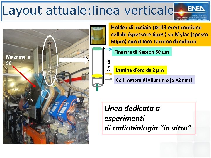 Layout attuale: linea verticale Holder di acciaio ( =13 mm) contiene cellule (spessore 6µm