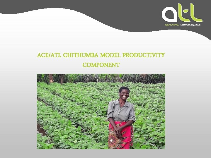 ACE/ATL CHITHUMBA MODEL PRODUCTIVITY COMPONENT 