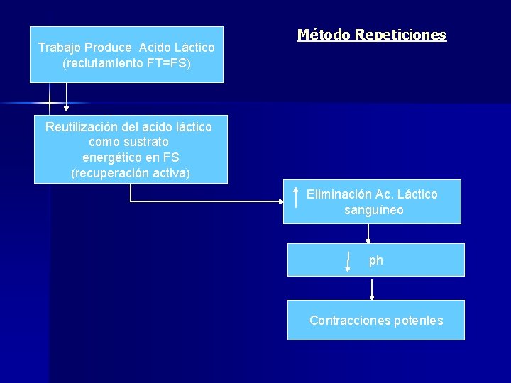 Trabajo Produce Acido Láctico (reclutamiento FT=FS) Método Repeticiones Reutilización del acido láctico como sustrato