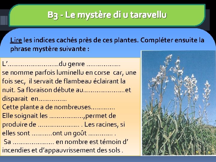 B 3 - Le mystère di u taravellu Lire les indices cachés près de