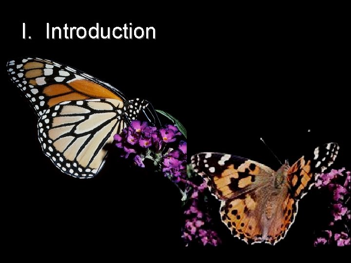 I. Introduction I. Introduction
