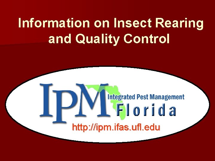 Information on Insect Rearing and Quality Control http: //ipm. ifas. ufl. edu Information on Insect Rearing and Quality Control http: //ipm. ifas. ufl. edu