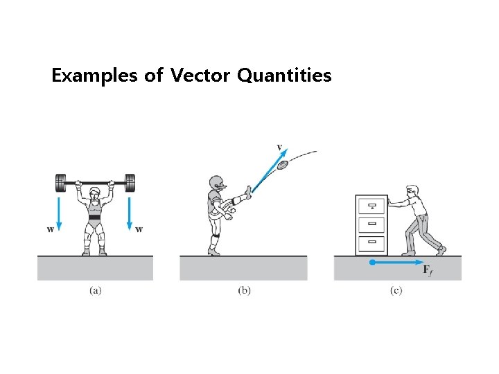 Examples of Vector Quantities Examples of Vector Quantities