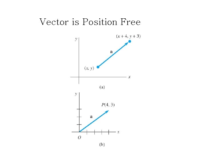 Vector is Position Free Vector is Position Free