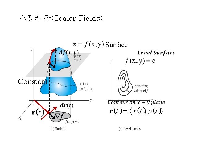 스칼라 장(Scalar Fields) 스칼라 장(Scalar Fields)