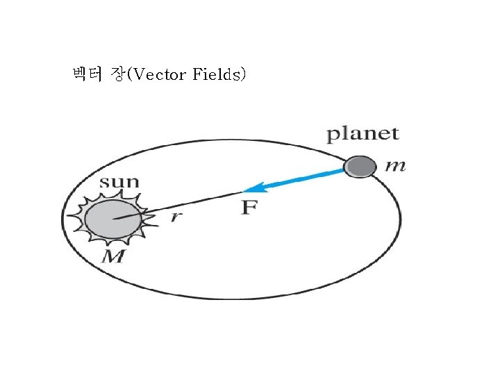 벡터 장(Vector Fields) 벡터 장(Vector Fields)
