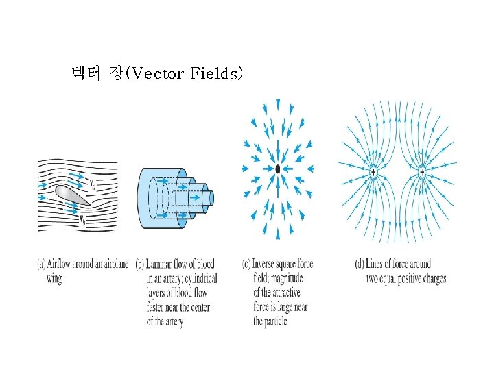 벡터 장(Vector Fields) 벡터 장(Vector Fields)