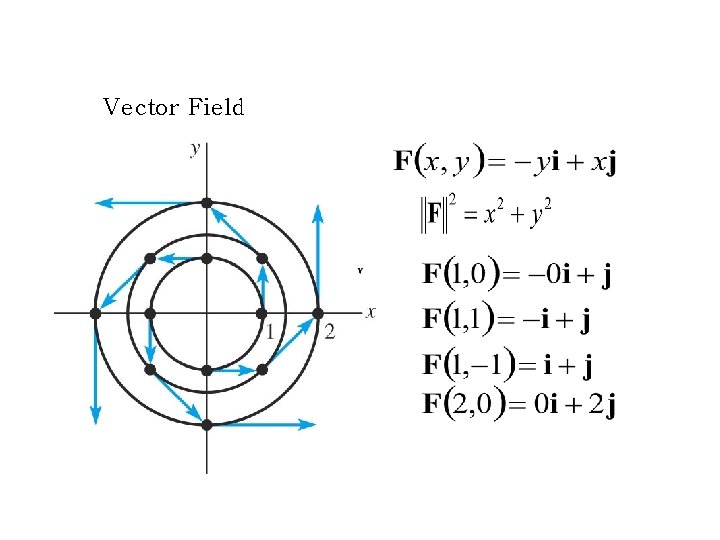 Vector Field Vector Field