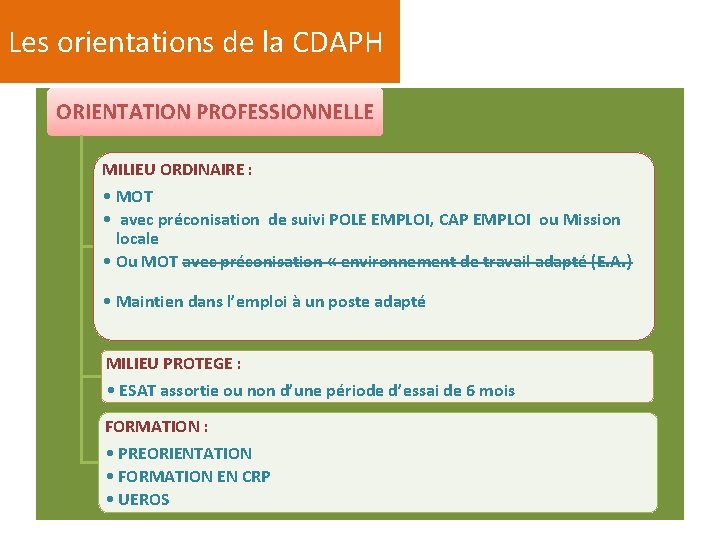 Les orientations de la CDAPH ORIENTATION PROFESSIONNELLE MILIEU ORDINAIRE : • MOT • avec