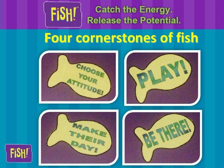 Four cornerstones of fish 