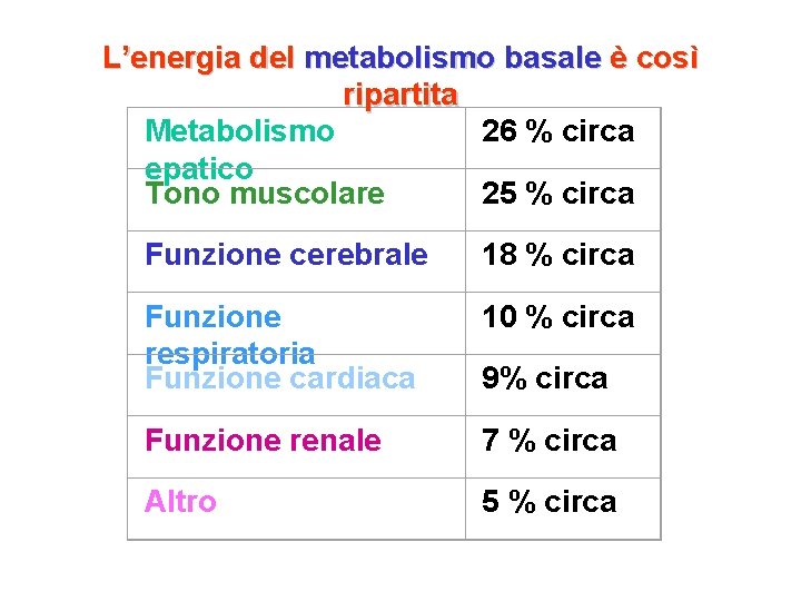 L’energia del metabolismo basale è così ripartita Metabolismo 26 % circa epatico Tono muscolare