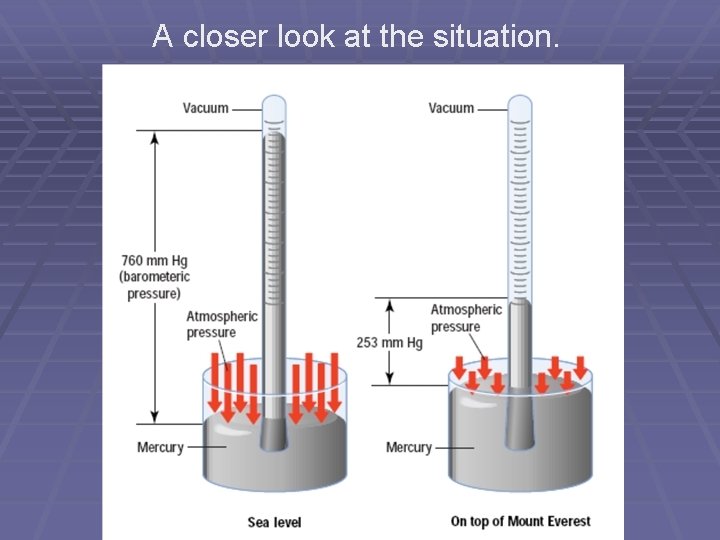 A closer look at the situation. A closer look at the situation.