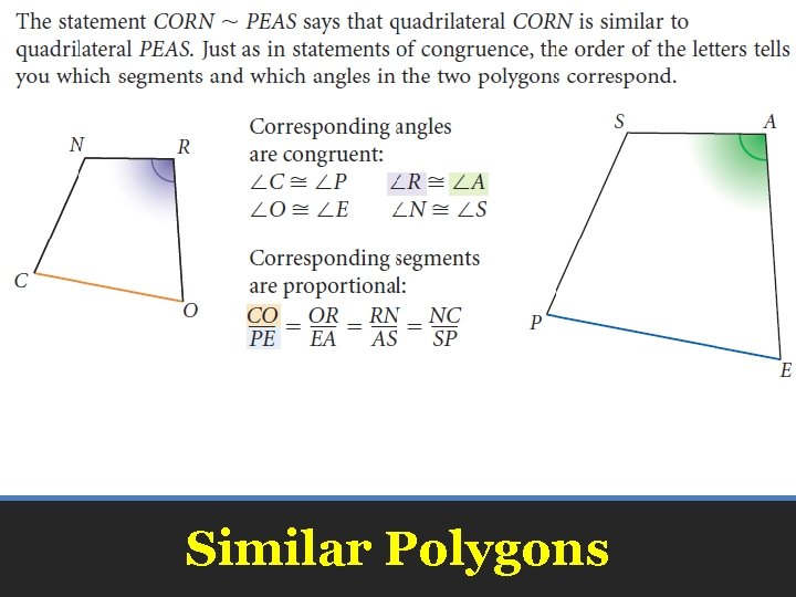 Similar Polygons 