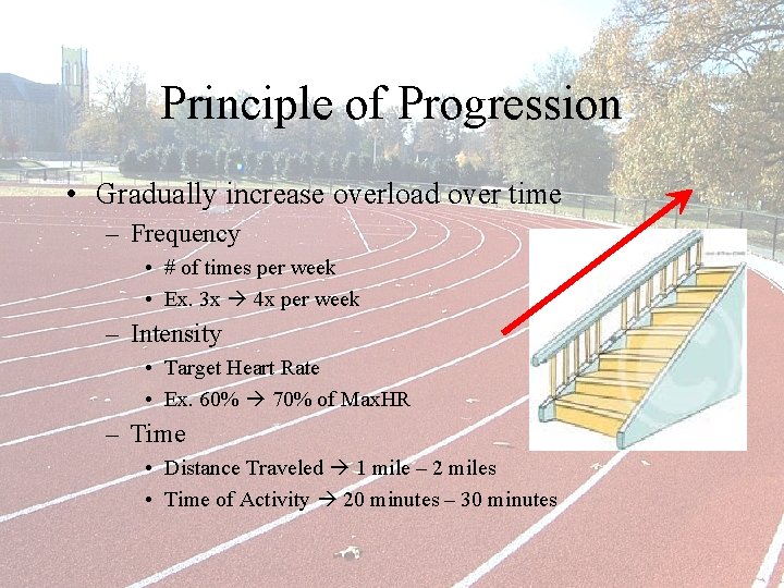 Principle of Progression • Gradually increase overload over time – Frequency • # of