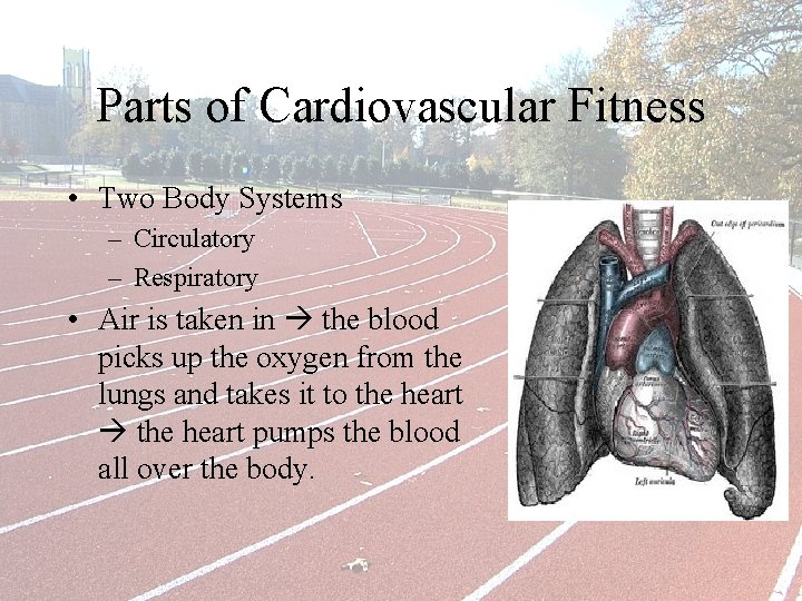 Parts of Cardiovascular Fitness • Two Body Systems – Circulatory – Respiratory • Air