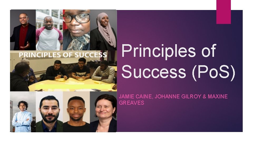 Principles of Success (Po. S) JAMIE CAINE, JOHANNE GILROY & MAXINE GREAVES 