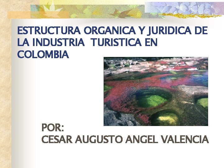ESTRUCTURA ORGANICA Y JURIDICA DE LA INDUSTRIA TURISTICA EN COLOMBIA POR: CESAR AUGUSTO ANGEL