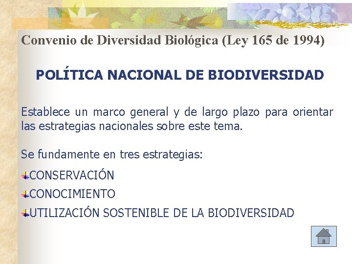 Convenio de Diversidad Biológica (Ley 165 de 1994) POLÍTICA NACIONAL DE BIODIVERSIDAD Establece un